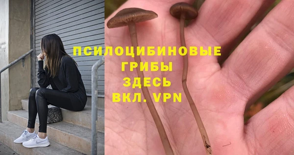 трава Абаза