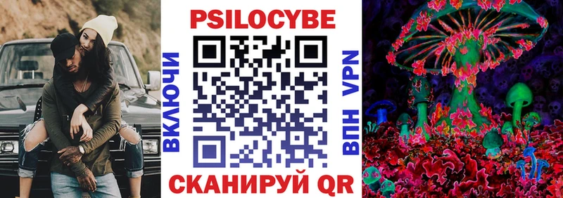 Галлюциногенные грибы Psilocybe  Хилок 