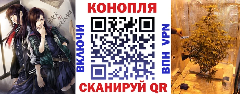 omg онион  Хилок  Канабис сатива 